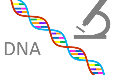 Immigration DNA Testing: Types of Immigration DNA Testing