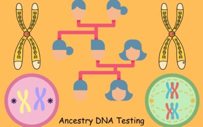 The Truth About DNA Ancestry Accuracy