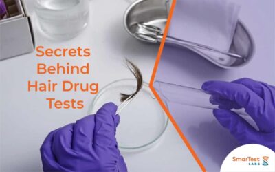 Uncover the Secrets Behind Hair Drug Tests