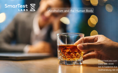 Alcoholism and the Human Body