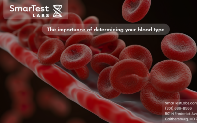 The importance of determining your blood type