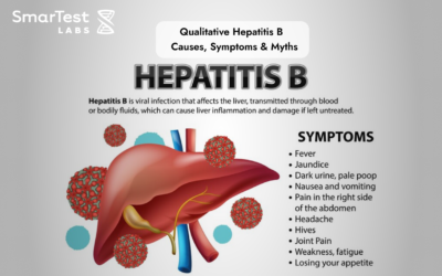 Qualitative Hepatitis B  Causes, Symptoms & Myths